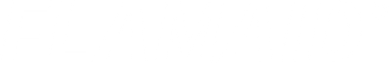 FLAMAID
